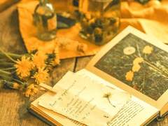 리리 C. 에밀리_Xx_후플푸프_혼혈