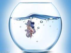 [주술회전/고죠 사토루 드림] 주술계 최강의 쌍둥이 누나로 태어난 결과는