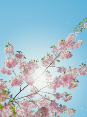 [청려채율] 온 세상의 빛을 너에게