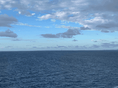 묻지 않는 사람들