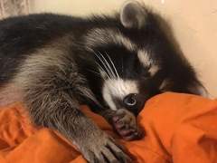 표절하지마표절하지마표절하지마표절하지만표절하지마표절하지마표절하지마하지말라면 좀 그냥 하지마 제발 걍 좀