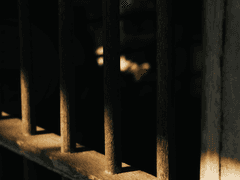 [정환대협/마키센] 인겁 上