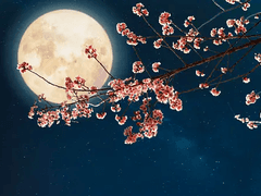 [건엽연지] 월하연인 1