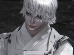 [초코보] 자놀 친구 구인 공고