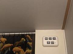 새벽에 확실하게 잠에서 깨는 법