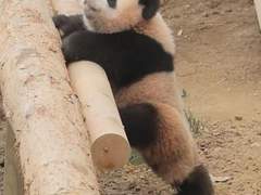 이글루글 재업 - 특별한 연애의 환상