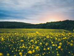 꺄하하! 재밌는 말을 하네, 너!