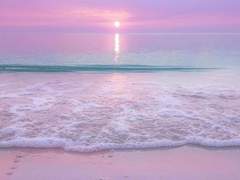 [소을]설레이는 어느날에..