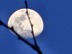 너로서 나는 죽는다.