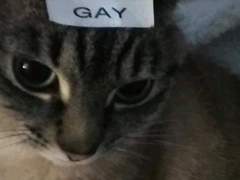 우리가 비록 결혼하지는 못할지라도