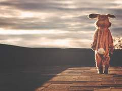 놓았거나 놓쳤거나