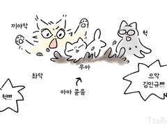 얌전냥이들 빨래