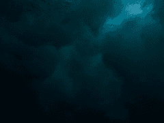 어두운 밤 와인한잔