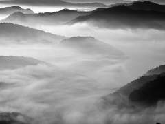 [암존검협] 기억(記憶) #1