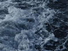 페이지의 끝에서 너는 마침표 한 줌을 사고