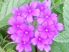 미운 내 남편, 고운 내 아내