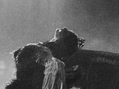 살아남은 것들(2)