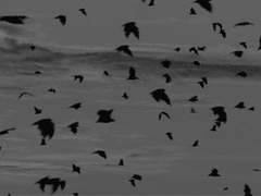 계절이 계절을 덮치듯이