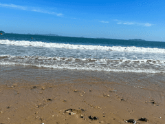 상괭이는 무슨 꿈을 꾸는가 - 5