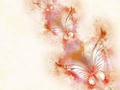 돌이킬 수 없는 발걸음