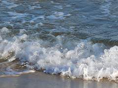 나는 사람인가요?