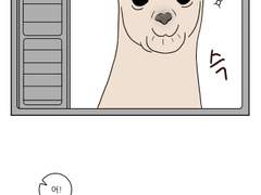 알파카 그리는 만화