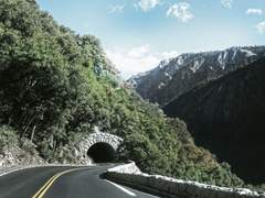 [속보] 하람고등학교 인근 터널 붕괴