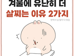 겨울에 유난히 더 살찌는 이유 2가지 + 쿠키컷