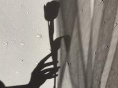 사랑하는 자를 위해 죽어야만 하는 자