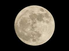 [D-350] 이만 끝내고 싶다는 생각이 들 때