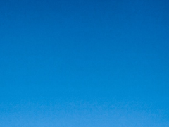 톤넨 관계성 타로