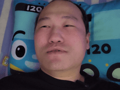 브베의 생각 - 어리둥절한 새의 영상을 보고