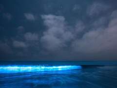 Ich möchte fliegen.