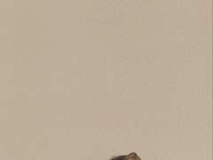 14일. 그리고 15일, 16일.