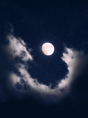 [나혼렙x전독시]그림자 군주의 회귀자 사용법