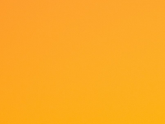 RIIZE 라이즈 소희 타로 상세 리딩