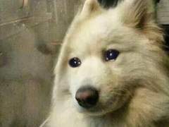 [엔시티] 사생의 탈을 벗어라 +