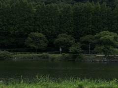 뭐, 어쩌라고. 뭘 바래?