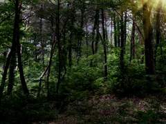 지척에도 닿을 수 없는