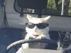 라이즈 막내공주 12