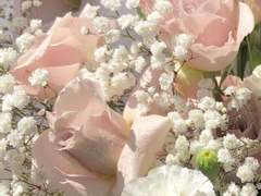 인기 많아지고 사랑받는 법