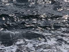 백사 선생과 꼬마 신랑 이야기 一.