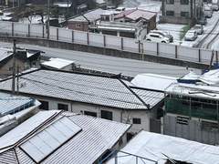 종일 내리는 눈을 보니 놓고 온 미련이 떠올라서