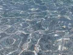 바다가 보고 싶었던 걸까