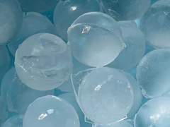 5 ) 특종! 물 안 속 세상?