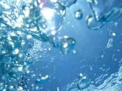 6 ) 특종! 아싸, 인싸되다!