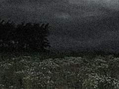 마침내 멸망하는 여름