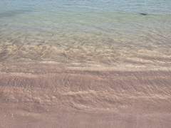 [주술회전 드림] 지옥의 가장 뜨거운 자리에서 01