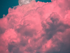 다시 만난 우연