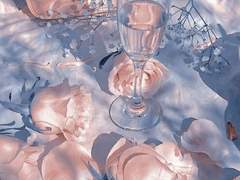 결혼해주세요, 라자크님!